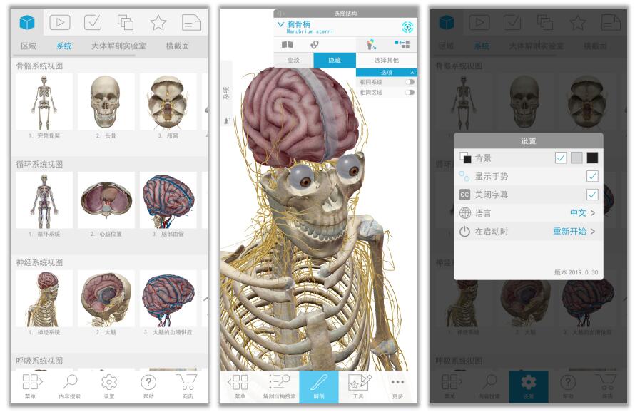 英语语法app华为_英语语法词典安卓app_英语华为手机